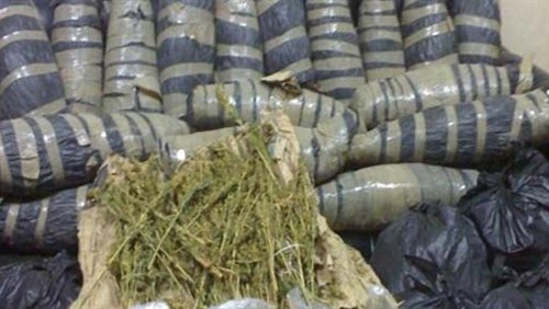 ضبط 7 أطنان «بانجو» بمحيط نفق الشهيد أحمد حمدي 2 بانجو