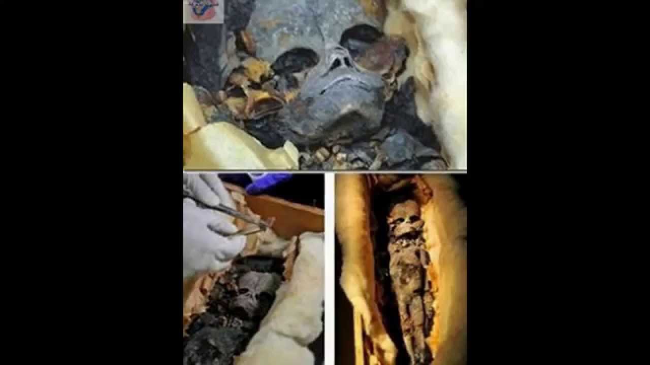 إكسبرس البريطانية تنشر فيديو لمومياء رائد فضاء داخل مقبرة فرعونية