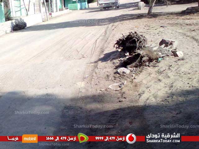 أهالي قرية الخطارة بفاقوس يشتكون سوء حالة الطريق 1 21