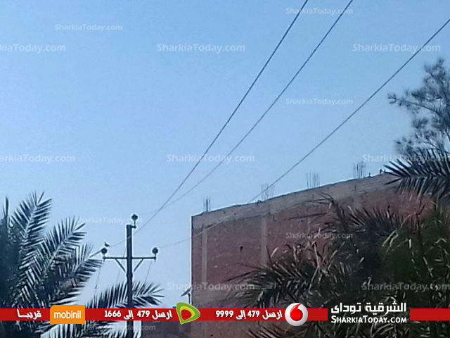 بالصور.. أهالي «النمروط» بفاقوس يواجهون الموت بسبب أسلاك الجهد المتوسط الكهربائي 2 بالصور.. أهالي «النمروط» بفاقوس يواجهون الموت بسبب أسلاك الجهد المتوسط الكهربائي