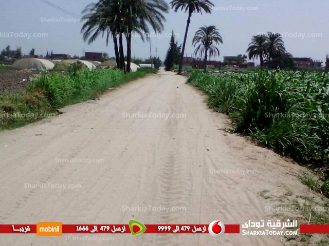 أهالي «الخطارة» بفاقوس يشكون من تعدي كراكات الري على الطريق 4 3