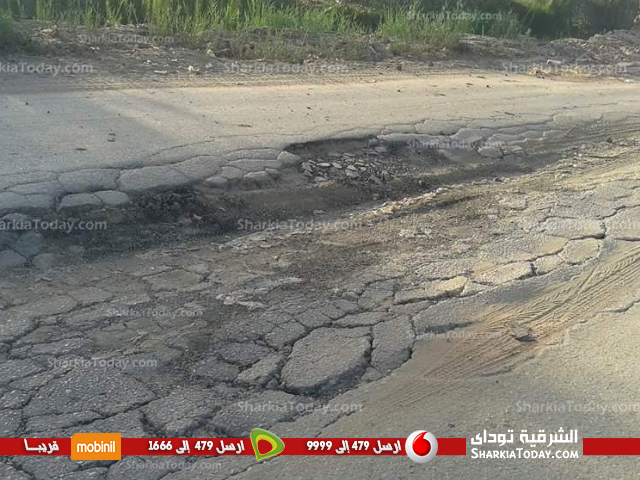 مطالب بتطوير طريق «فاقوس - الحسينية» البديل 2 33