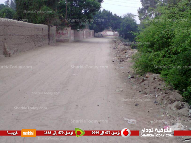 أهالي «الخطارة» بفاقوس يشكون من تعدي كراكات الري على الطريق 3 4