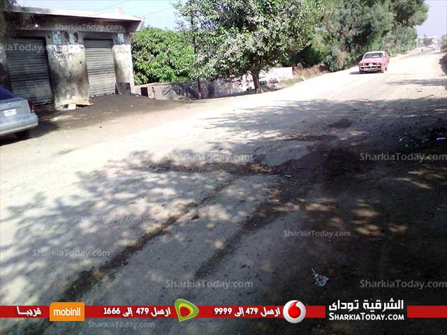أهالي قرية الخطارة بفاقوس يشتكون سوء حالة الطريق 2 Water