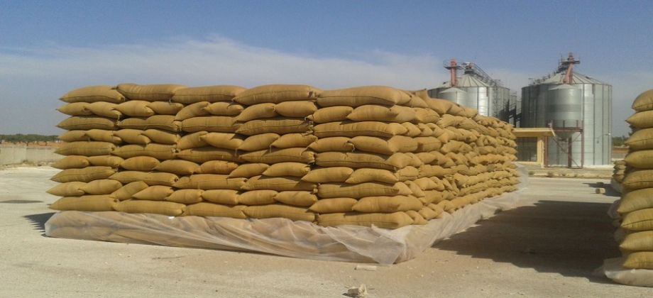 إحالة 3 أمناء جدد للنيابة العامة في واقعة اختلاس 5 آلاف طن قمح بالشرقية 19 c8cc15d2f7c2dab3a783f56f1b99bbb5 920 420