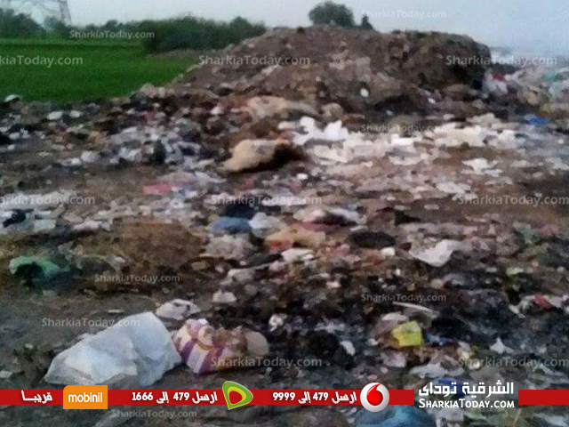 «السبايتة» بفاقوس تتعامل بالحرق المكشوف مع قمامة المقلب العشوائي‏