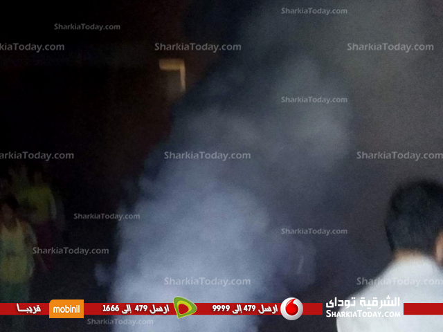 الحاجر بفاقوس تقاوم الناموس بالجهود الذاتية‏ (2)