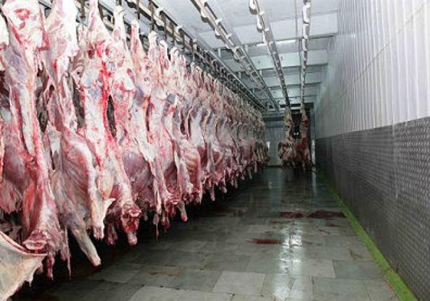 الزراعة تطرح كميات ضخمة من اللحوم الطازجة بالأسواق بـ58 جنيه للكيلو