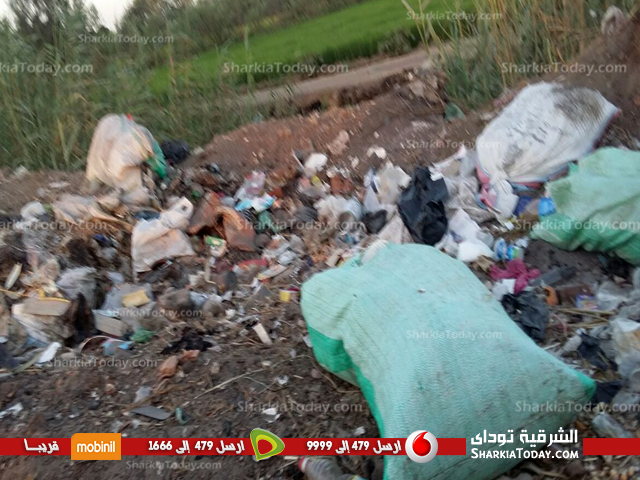 تراكم القمامة بطريق «أم عجرم - جزيرة النص» بفاقوس 1 تعييس