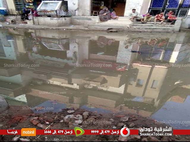 قرية الحبش بالآبراهيمية تغرق فى مياه الصرف الصحى‏1
