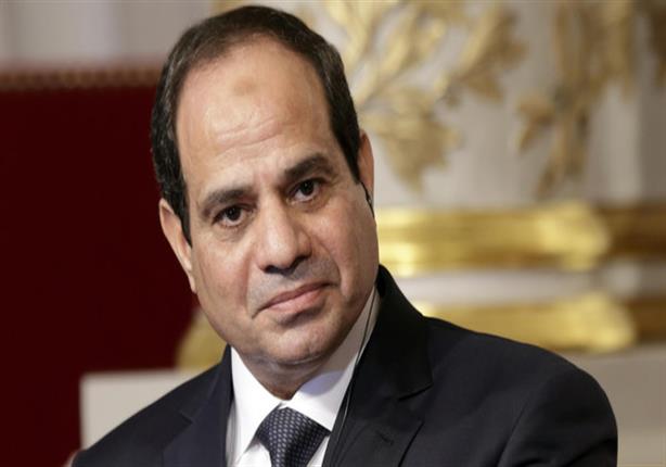 السيسي للمصريين:مصر محتاجة تقفوا جمبها وتدوها 1 السيسي للمصريين مصر محتاجة تقفوا جمبها وتدوها
