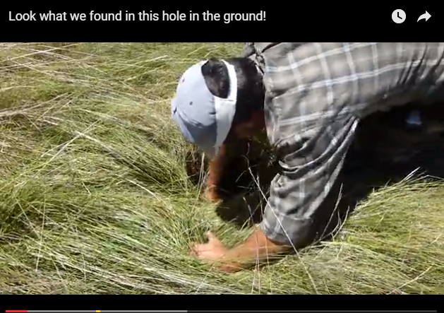 بالفيديو.. مزارع يعثر على ما لم يخطر بباله فى حفرة