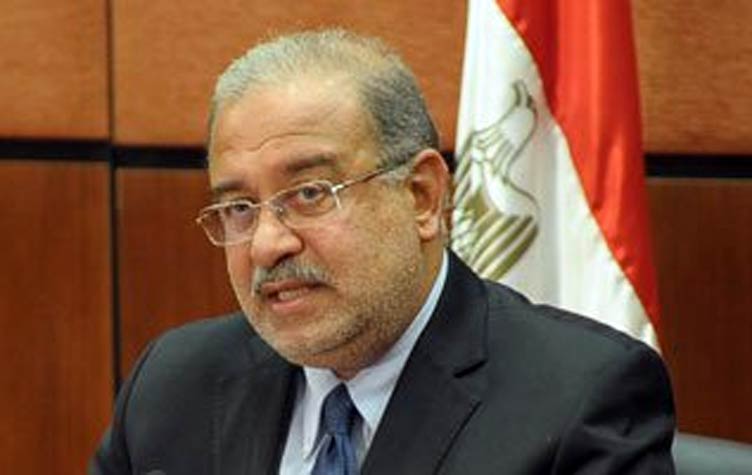 الحكومة تقرر وقف تصدير الأرز وتحدد 2400 جنيه لسعر الطن