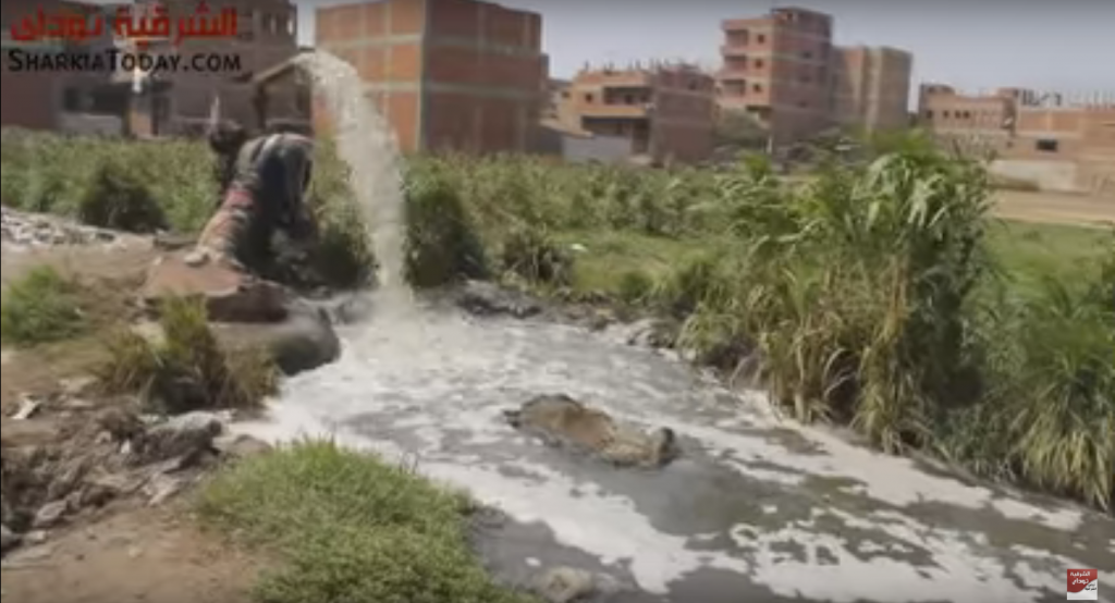 بالفيديو .. قرية السعديين بمنيا القمح تغرق في مياه الصرف الصحي‏ (4)