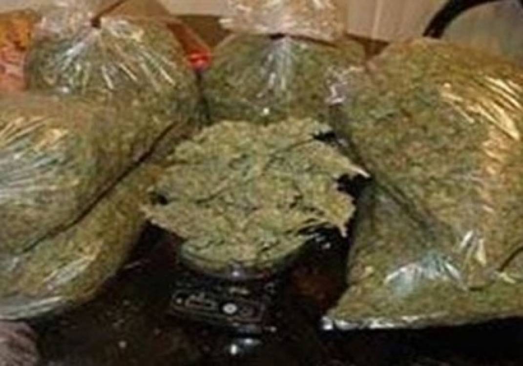 ضبط عاطلين بحوزتهما 5 كيلو بانجو وبندقية خرطوش بأبو كبير 16 بانجو