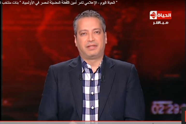 تامر امين