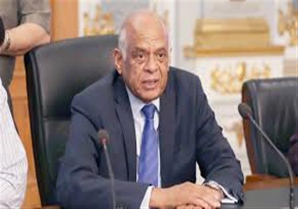 رئيس مجلس النواب لا يوجد لدينا أي قانون متعلق ببيع الجنسية المصرية
