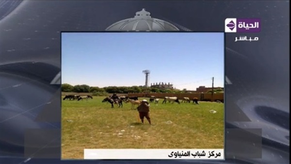 بالفيديو.. مركز شباب الميناوي بالإسماعيلية يتحول إلى ساحة لتربية المواشي 5 فيديو.. مركز شباب الميناوي بالإسماعيلية يتحول إلى ساحة لتربية المواشي