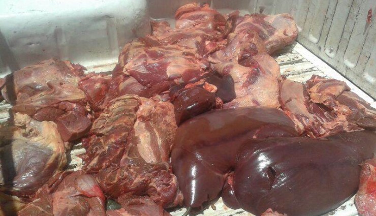 مباحث التموين تضبط 810 كيلو لحوم فاسدة داخل إحدى الثلاجات 23 لحوم فاسدة