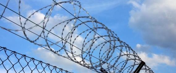 لمنع قدوم المسلمين.. برلماني أوروبي يقترح وضع رؤوس الخنازير على أسياج الحدود، هكذا كان الرد عليه