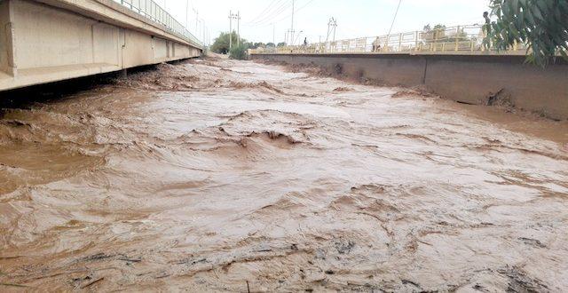 مأساة سودانية تنقذ نهر النيل في مصر 13 مأساة سودانية تنقذ نهر النيل في مصر