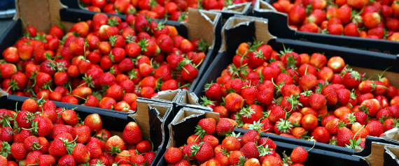 Strawberries are seen on a wholesale market in the village of Dvarets, Belarus June 14, 2016. REUTERS/Vasily Fedosenko