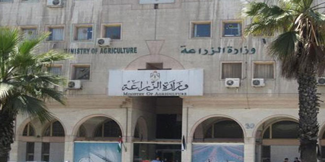 50 جنيهًا سبب إعدام موظف بوزارة الزراعة