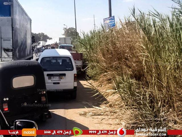 حادث مروري يغلق طريق «منيا القمح _ القاهرة» لمدة 3 ساعات 3 14569699_1334867479887454_1086373926_n