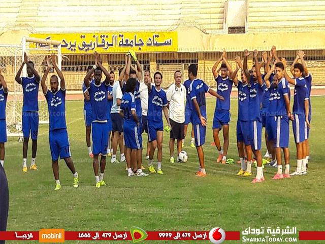 الشرقية 33