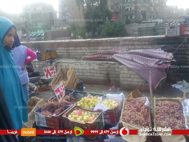 بالصور .. عودة الباعة الجائلين لـ «قناطر التسعة» بعد إزالتهم بأيام 4 %d8%a8%d8%a7%d9%84%d8%b5%d9%88%d8%b1-%d8%b9%d9%88%d8%af%d8%a9-%d8%a7%d9%84%d8%a8%d8%a7%d8%b9%d8%a9-%d8%a7%d9%84%d8%ac%d8%a7%d8%a6%d9%84%d9%8a%d9%86-%d9%84%d9%80-%d9%82%d9%86%d8%a7%d8%b7%d8%b1