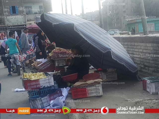 بالصور .. عودة الباعة الجائلين لـ «قناطر التسعة» بعد إزالتهم بأيام 4