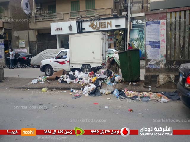 بالصور.. ظاهرة انتشار الحيوانات الضالة وسط القمامة بالقومية 3