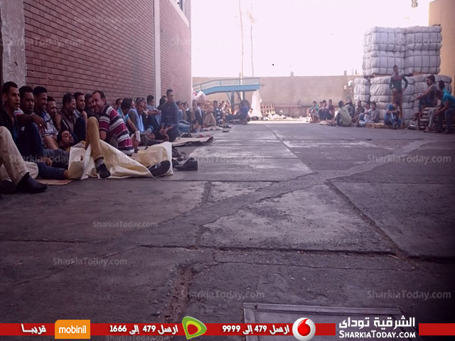 بالصور..إضراب عمال شركة «نيوالفاتكس» للغزل والنسيج بالعاشر من رمضان 2 %d8%a8%d8%a7%d9%84%d8%b5%d9%88%d8%b1-%d8%a5%d8%b6%d8%b1%d8%a7%d8%a8-%d8%b9%d9%85%d8%a7%d9%84-%d8%b4%d8%b1%d9%83%d8%a9-%d9%86%d9%8a%d9%88%d8%a7%d9%84%d9%81%d8%a7%d8%aa%d9%83%d8%b3-%d9%84