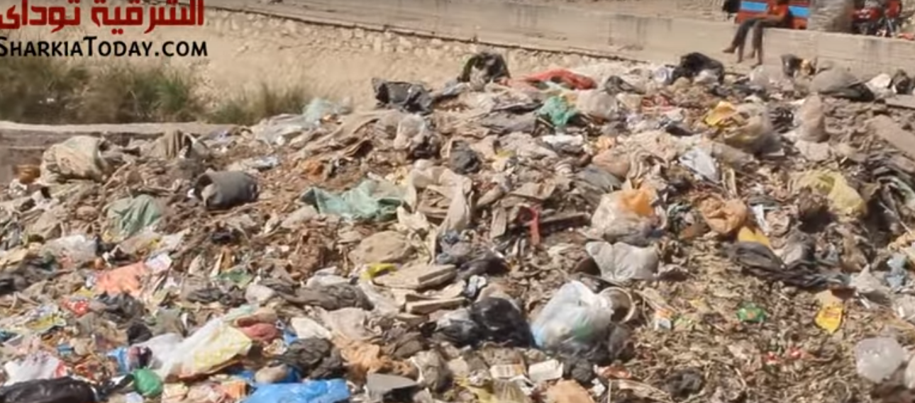 مدينة بلبيس تغرق في القمامة وغياب المسؤولين 33 بلبيس