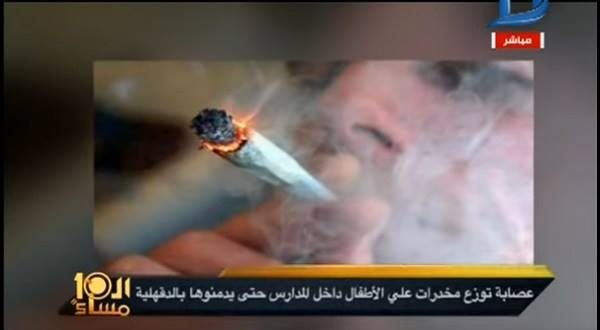 توزيع الحشيش على طلاب مدارس الدقهلية