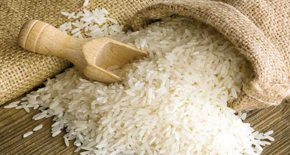 شعبة الأرز 450 جنيه ارتفاعا بأسعار طن أرز الشعير ليصل إلى 2850 جنيه