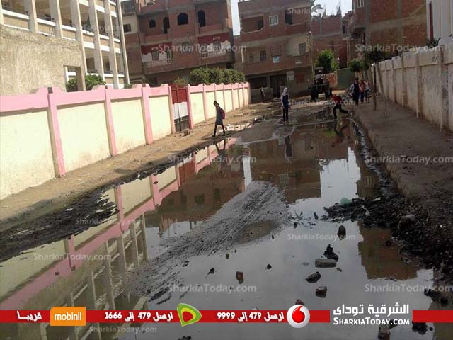 قرية «المجفف» بديرب نجم تغرق فى الصرف الصحى .. والمسؤلين فى خبر كان 1