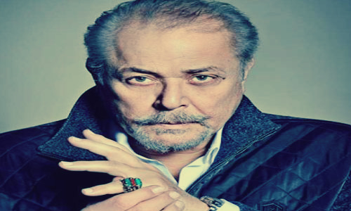 محمود عبد العزيز
