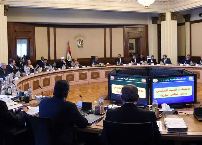 لا صحة لاحتواء أسماك البلطي والبوري على مواد سامة