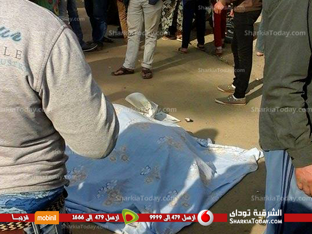 مصرع شخص وإصابة شقيقه فى حادث تصادم على طريق «القنايات – ديرب نجم»2