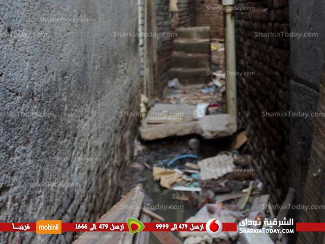 بالفيديو.. صرخة أهالى بنايوس بالزقازيق بسبب غرق منازلهم فى مياه الصرف الصحي 2 أهالي بنايوس يستغيثون بمحافظ الشرقية لإنقاذهم من الموت 2