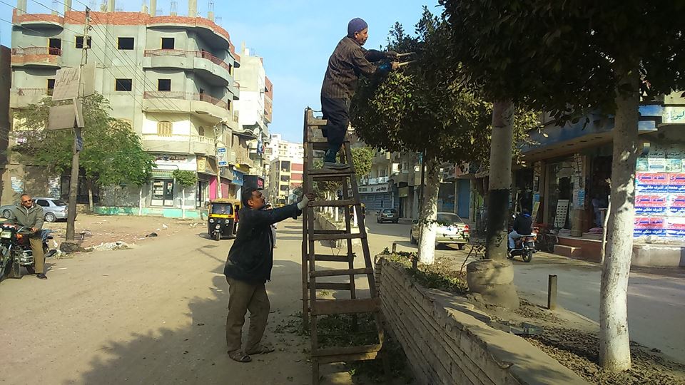أعمال النظافة وتجميل الشوارع بمدينة فاقوس3 1