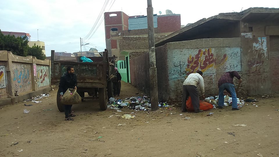 بالصور.. حملة نظافة مكبرة بفاقوس 5 الشجر 1