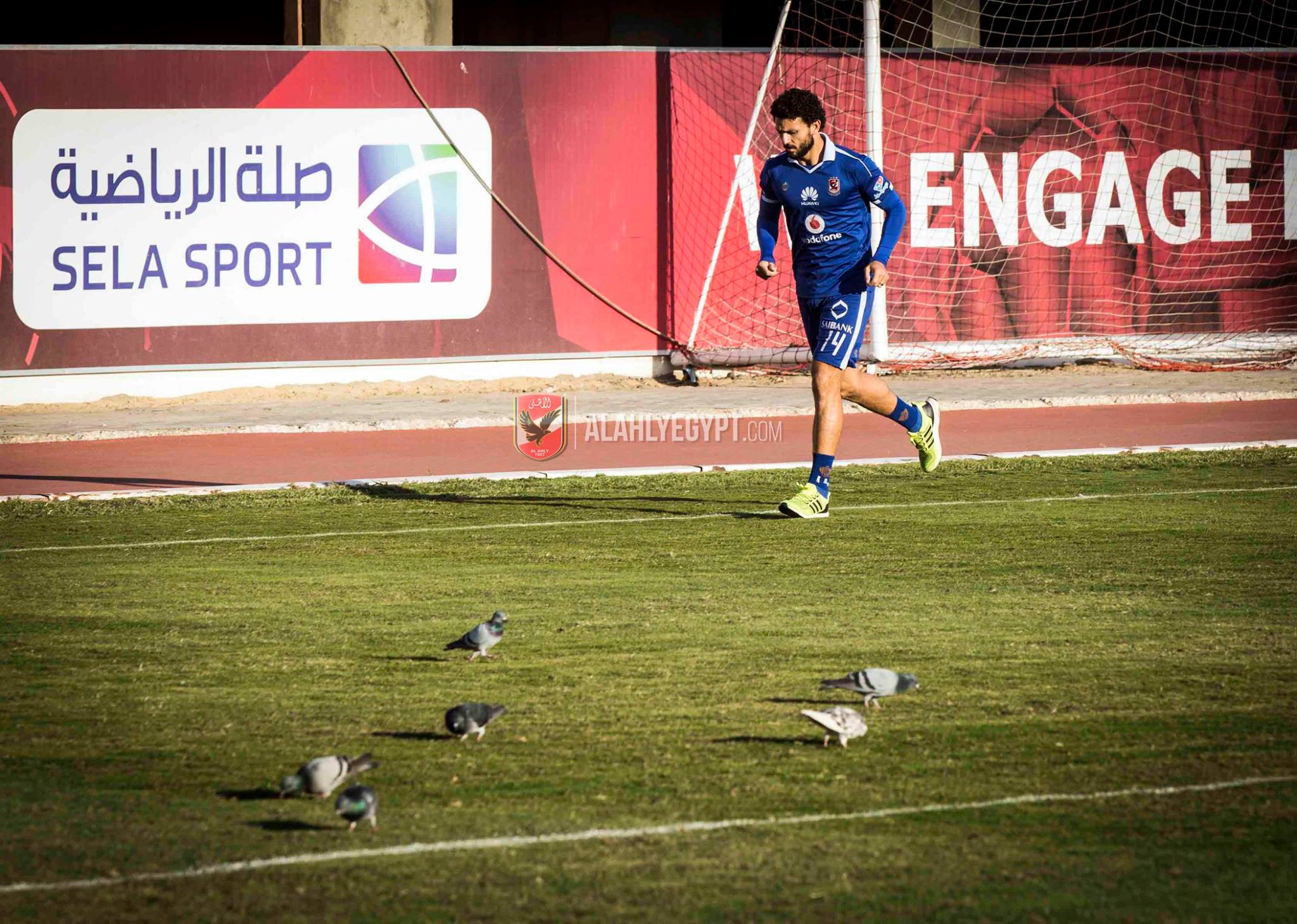 غالي