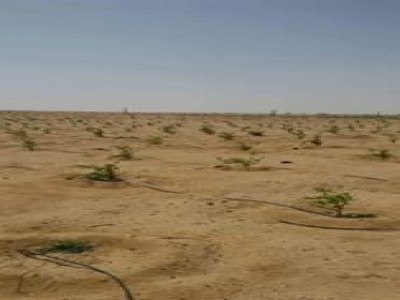 مبادرة