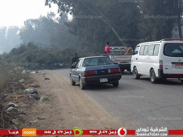 بالفيديو.. استمرار نزيف الدماء يومياً بطريق «كفر أبو حطب» بههيا 3 بالفيديو.. استمرار نزيف الدماء يومياً بطريق «كفر أبو حطب» بههيا 1