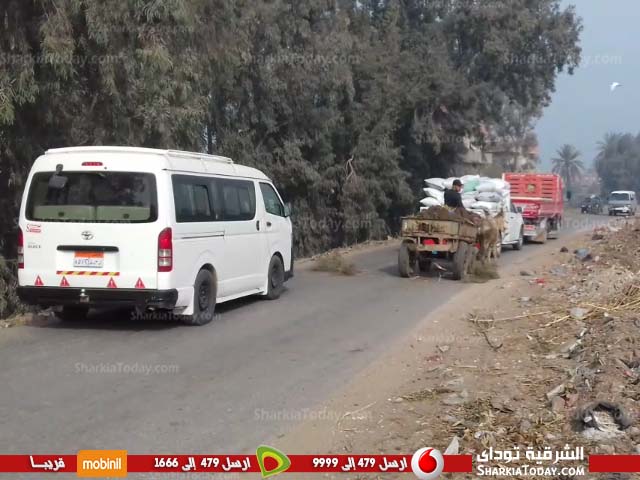 بالفيديو.. استمرار نزيف الدماء يومياً بطريق «كفر أبو حطب» بههيا 4 بالفيديو.. استمرار نزيف الدماء يومياً بطريق «كفر أبو حطب» بههيا 4