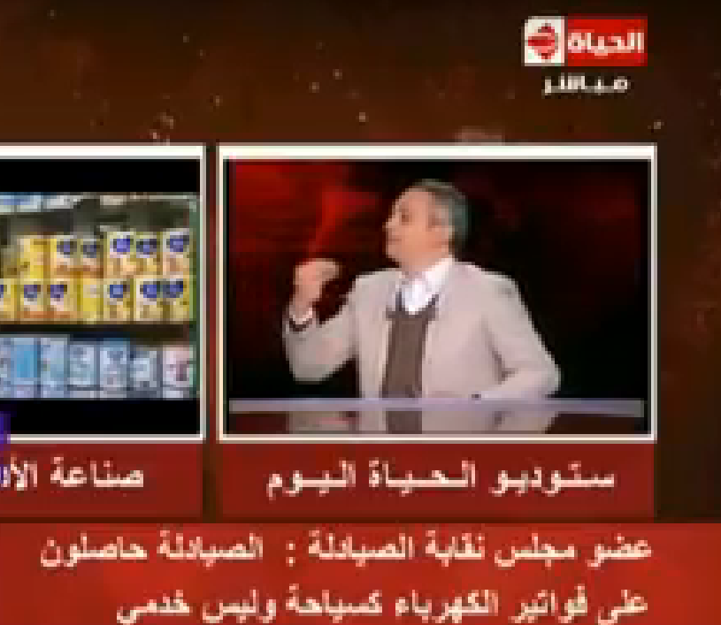تامر امين