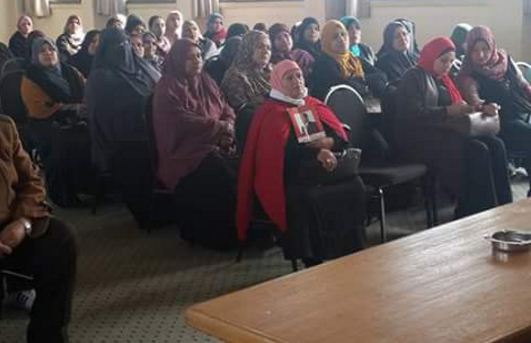 منيا القمح 1