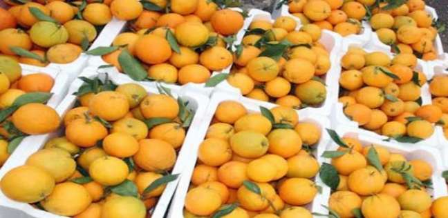 ارتفاع أسعار الفاكهة.. والبرتقال البلدي بـ4 جنيهات 1 %D8%A7%D8%B1%D8%AA%D9%81%D8%A7%D8%B9 %D8%A3%D8%B3%D8%B9%D8%A7%D8%B1 %D8%A7%D9%84%D9%81%D8%A7%D9%83%D9%87%D8%A9